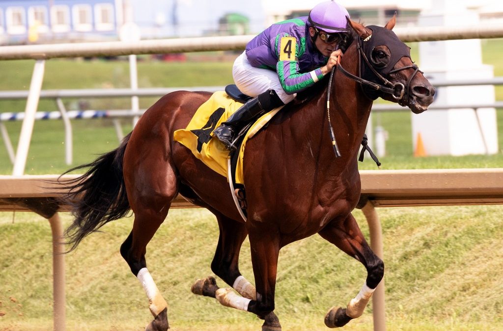 Lookback: No turf, no problem in Virginia-bred stakes