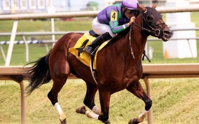 Lookback: No turf, no problem in Virginia-bred stakes