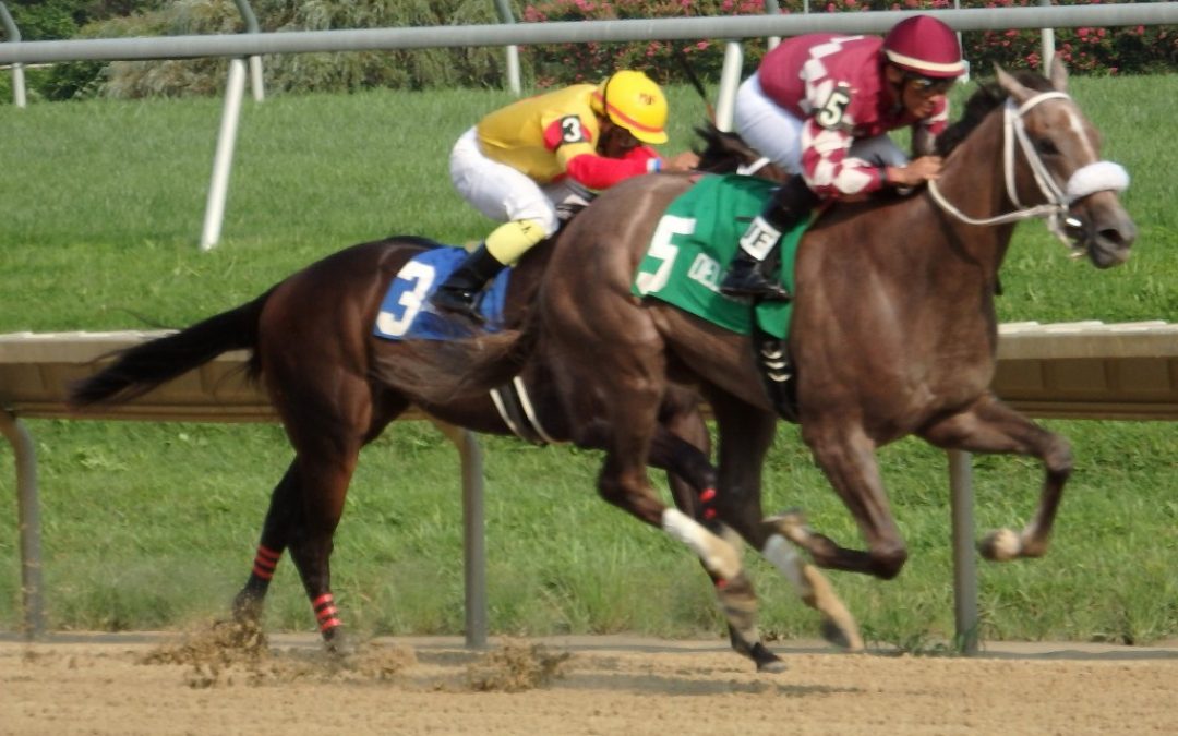 For Jaywalk, Glorious Empire, Breeders’ Cup bids began with Delaware wins