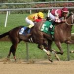 Yearlings, strangles, and Imagining: The week in social media