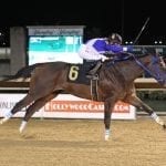 De Francis looms large in MATCH Series as Laki, Lewisfield face off