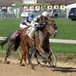 From the Spa: August 25 Midlantic-breds in Saratoga stakes