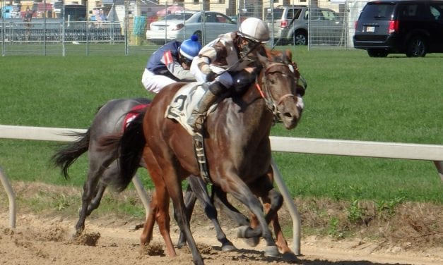 Timonium: Gerald Almodovar logs win 2,000