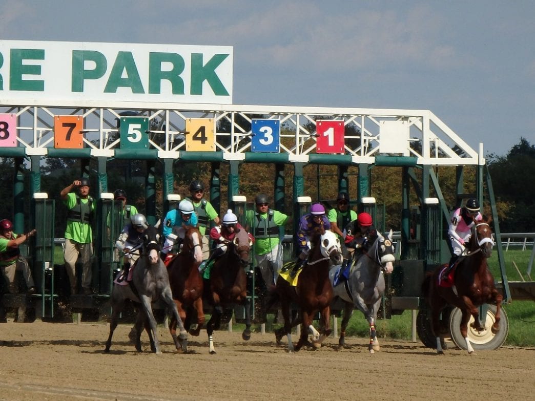 Delaware Park adds day during final week of racing * The Racing Biz