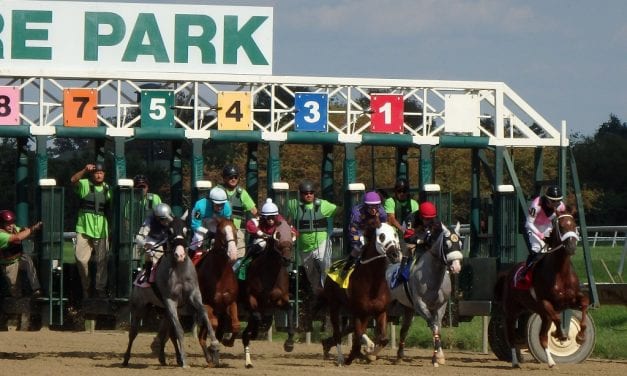 Delaware Park: Owners’ Day undercard report