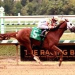 Scrap Copper, Our Braintrust head Maryland Juvenile Futurity