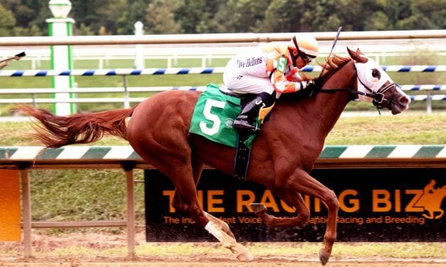 Belial tabbed as Maryland Juvenile Filly Championship favorite