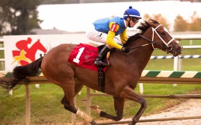 Altamura vanned off after Oakley victory