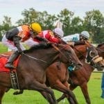 Irish War Cry to stand at Northview in 2019