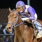 Triple Crown: Wood Memorial picks and analysis