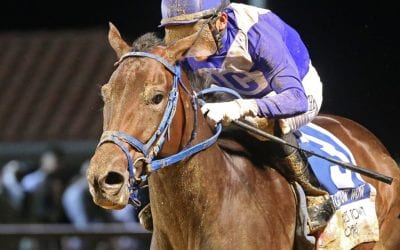 Charles Town picks and analysis: May 10, 2025