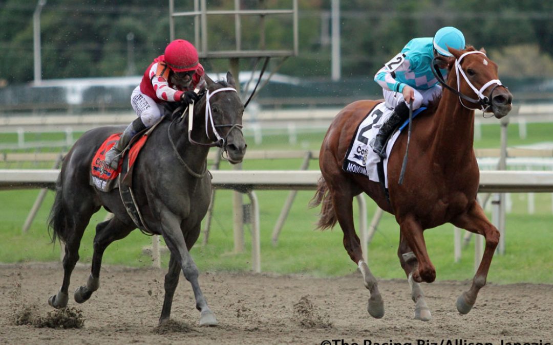 R T’s spot plays: Penn National January 11