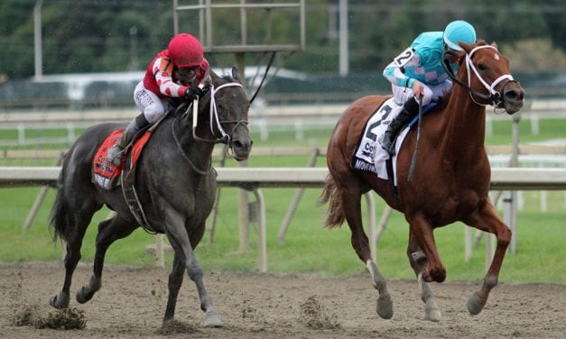 Midnight Bisou wins G1 Cotillion via DQ