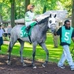 River Gal “carries family forward” with Jamestown win