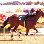 Doctor Mounty upsets BWI Turf Cup