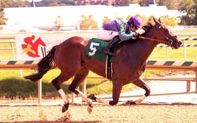 River Gal “carries family forward” with Jamestown win