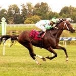 Delaware racing secretary Jed Doro to take role at Oaklawn Park