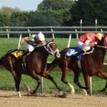 Opinion: On Pimlico, three core principles