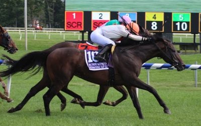 Laurel Park to delay turf season launch at least a week