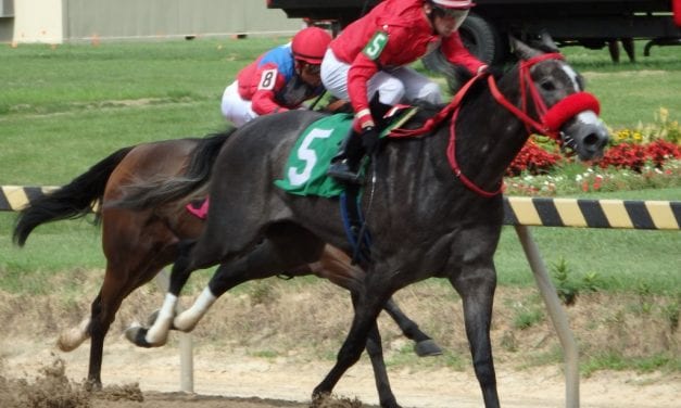 Mid-Atlantic racing roundup, November 13