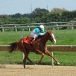Thoroughbred Aftercare Alliance to award over $3 million in grants