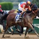 Jaxon Traveler headed to Md. Juvenile Futurity