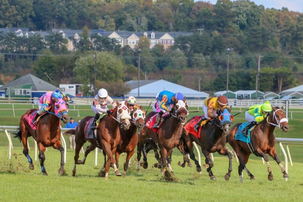 Maryland Million