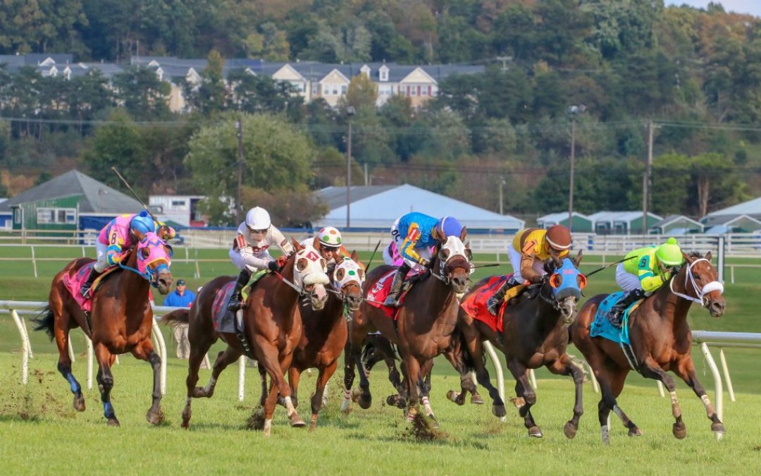 Jockey Club releases 2019 Fact Book