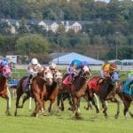 Maryland Stallion Showcase set for Nov. 30