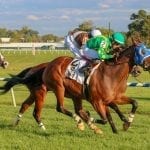 Md Million: Fiya strong Turf Sprint favorite