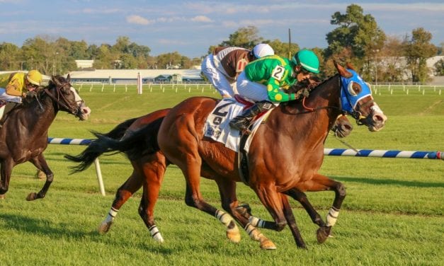 Maryland Million and more: The week in social media