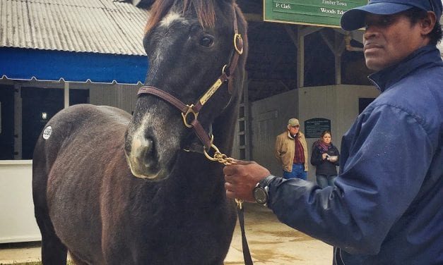 Breeders’ Cup: For breeder Sabrina Moore, a second try for Knicks Go