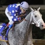 Sales Tales: The secretive Keystone State colt