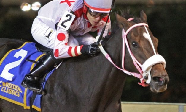 WVBC: Spring Lass surprises for Armstrong’s two-horse stable