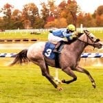 Amino graduates with impressive late run
