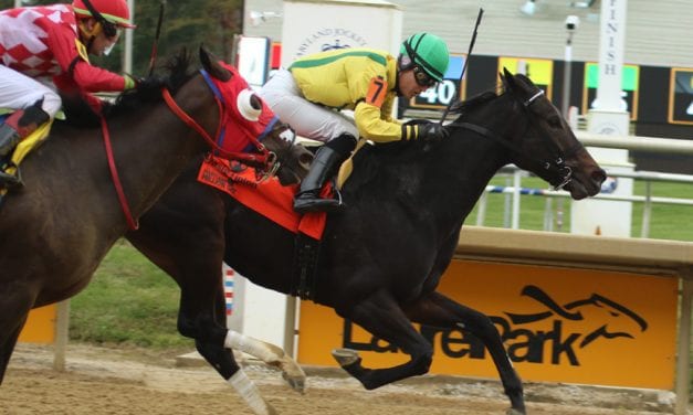 It’s Crabcakes, of course in MD Million Distaff