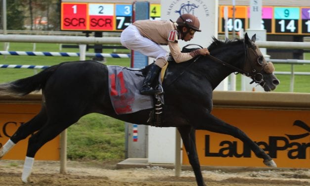 Seeing double on Maryland Million day