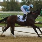 It’s Crabcakes, of course in MD Million Distaff