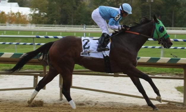 Lewisfield sizzles in MD Million Sprint