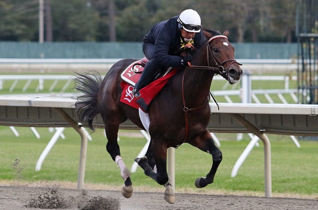Breeders’ Cup: Spotlight beckons for Sacco, Mind Control