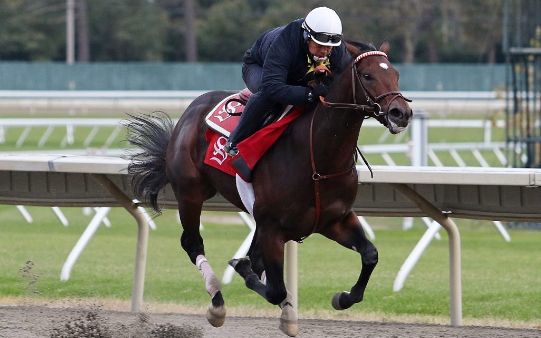 Breeders’ Cup: Spotlight beckons for Sacco, Mind Control