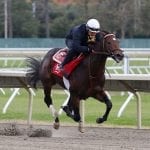 Claimbox: Midlantic claiming up 20% through February