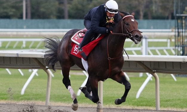 Breeders’ Cup: Spotlight beckons for Sacco, Mind Control