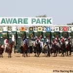 Delaware Park