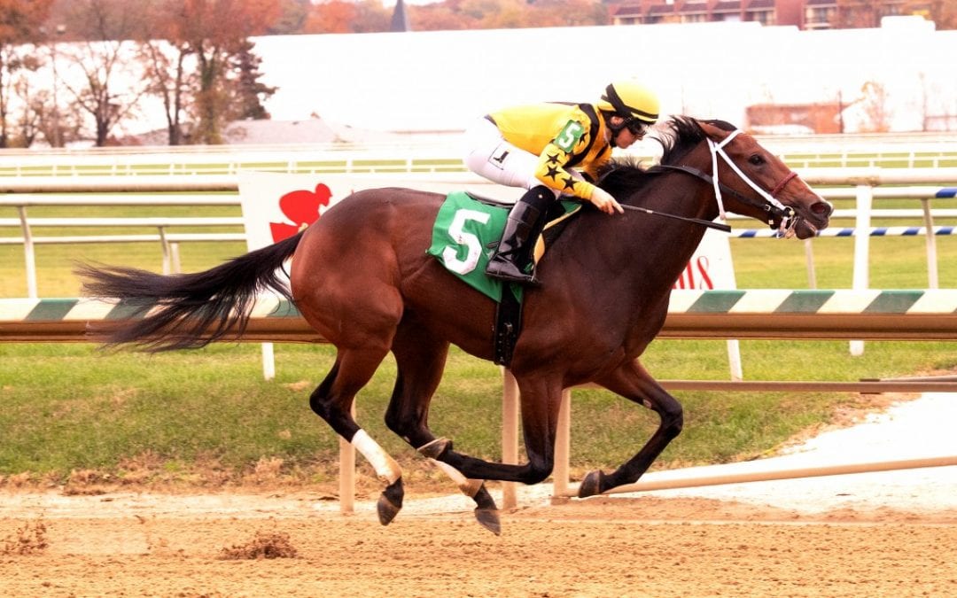 Video: Midlantic racing highlights