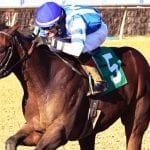 Delaware Park Handicappers’ Notebook 2019 Vol. 11