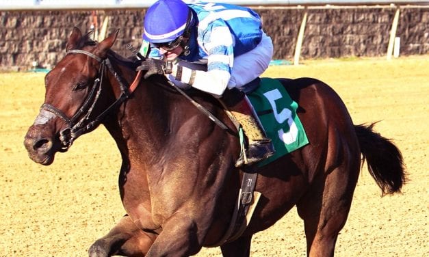 Scrap Copper, Our Braintrust head Maryland Juvenile Futurity