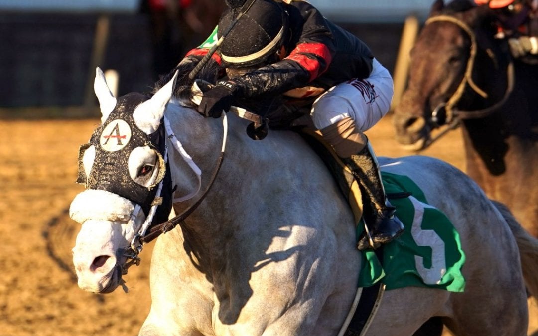 Unbridled Juan surges to take Richard Small Stakes
