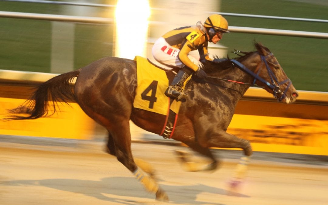 Off to the Races radio back in action Saturday
