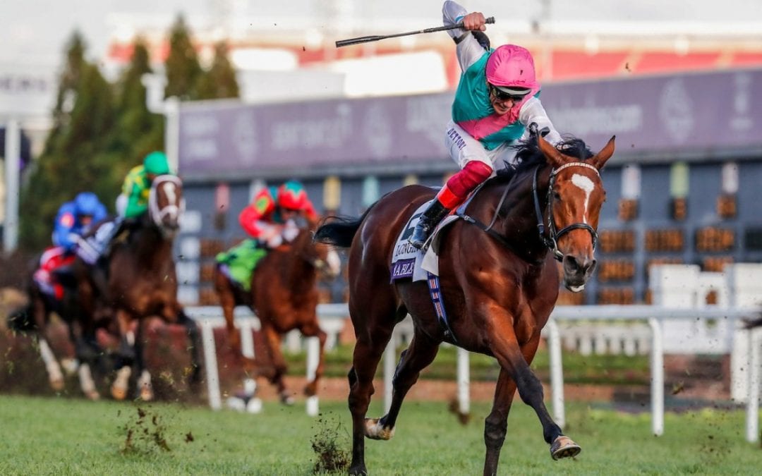 Breeders’ Cup: Ladies weekend as fillies steal the show
